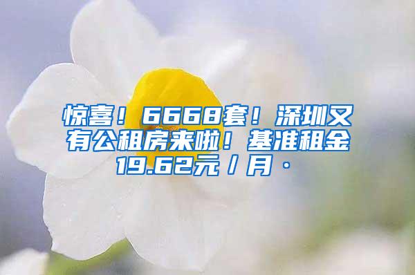 惊喜！6668套！深圳又有公租房来啦！基准租金19.62元／月·㎡