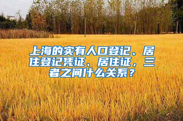 上海的实有人口登记、居住登记凭证、居住证，三者之间什么关系？