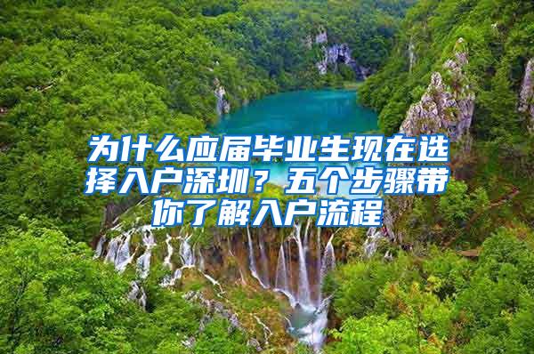 为什么应届毕业生现在选择入户深圳？五个步骤带你了解入户流程