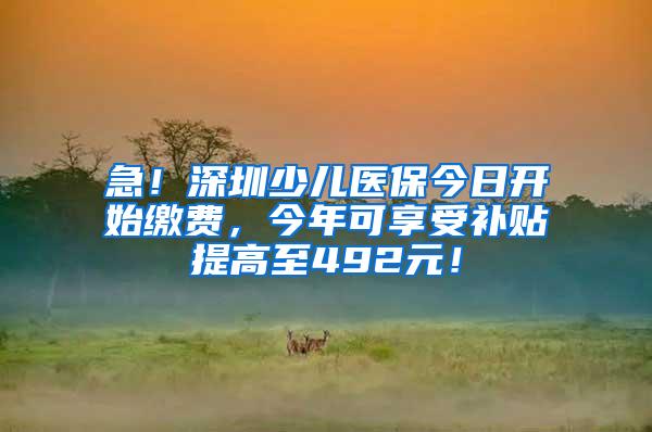 急！深圳少儿医保今日开始缴费，今年可享受补贴提高至492元！