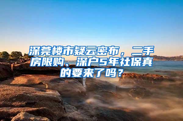 深莞楼市疑云密布，二手房限购、深户5年社保真的要来了吗？