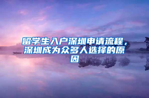 留学生入户深圳申请流程，深圳成为众多人选择的原因