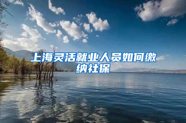 上海灵活就业人员如何缴纳社保