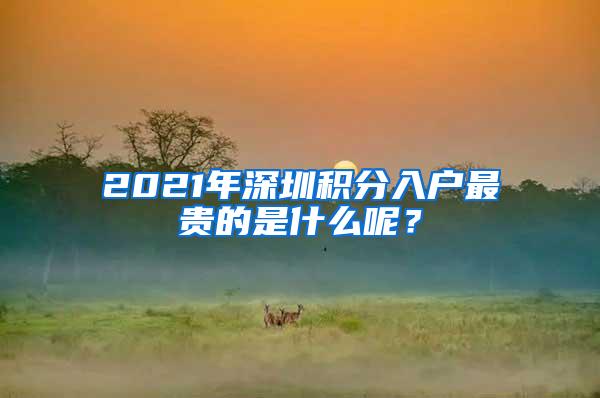 2021年深圳积分入户最贵的是什么呢？