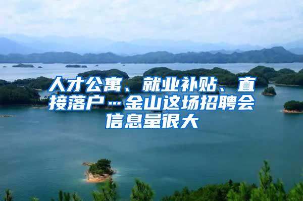 人才公寓、就业补贴、直接落户…金山这场招聘会信息量很大