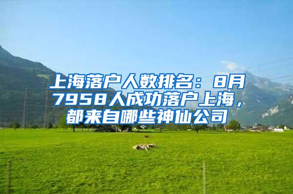 上海落户人数排名：8月7958人成功落户上海，都来自哪些神仙公司