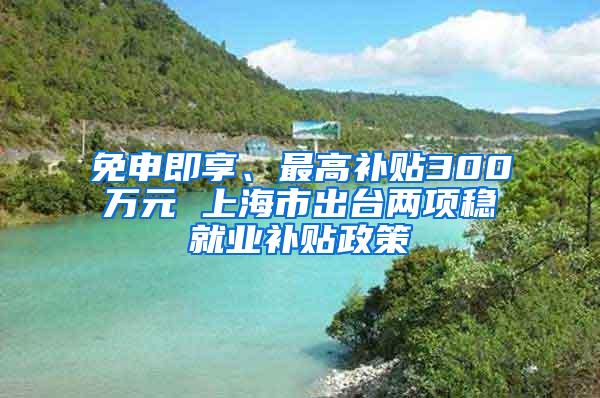 免申即享、最高补贴300万元 上海市出台两项稳就业补贴政策