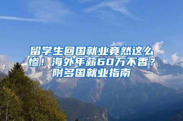 留学生回国就业竟然这么惨！海外年薪60万不香？附多国就业指南