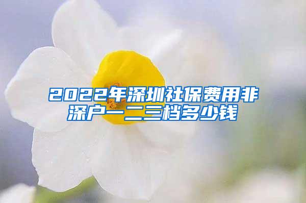 2022年深圳社保费用非深户一二三档多少钱