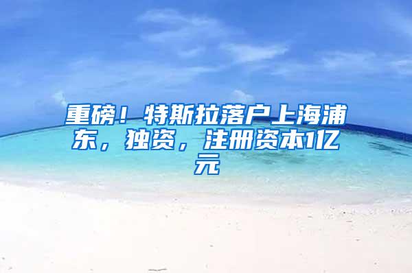 重磅！特斯拉落户上海浦东，独资，注册资本1亿元