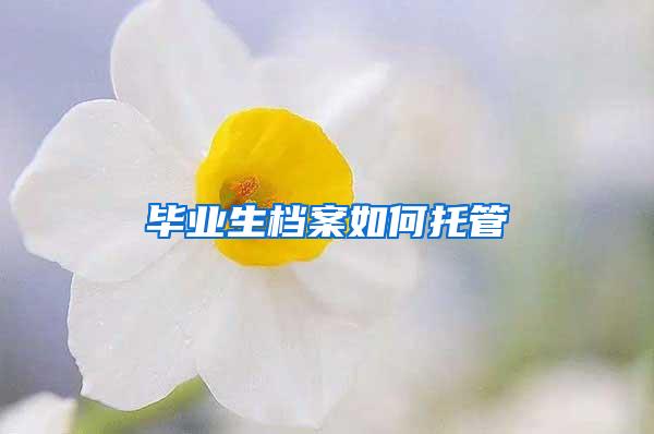 毕业生档案如何托管