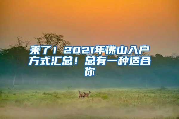 来了！2021年佛山入户方式汇总！总有一种适合你