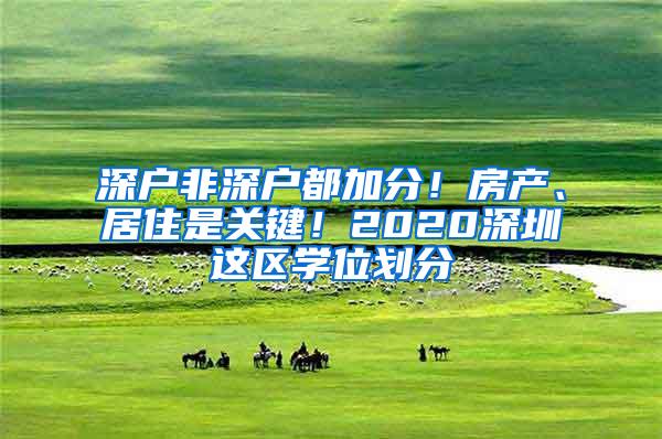 深户非深户都加分！房产、居住是关键！2020深圳这区学位划分