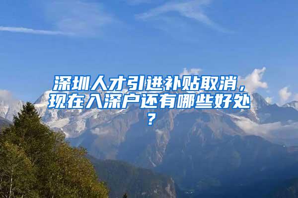 深圳人才引进补贴取消，现在入深户还有哪些好处？