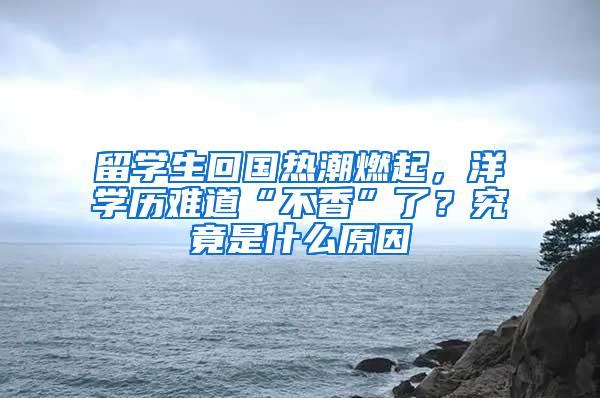 留学生回国热潮燃起，洋学历难道“不香”了？究竟是什么原因