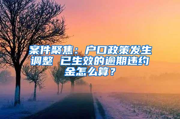 案件聚焦：户口政策发生调整 已生效的逾期违约金怎么算？