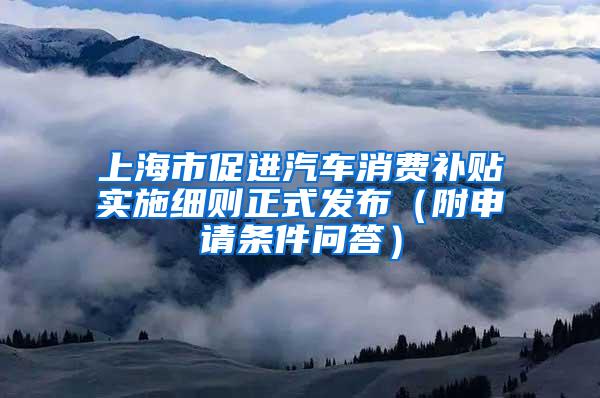 上海市促进汽车消费补贴实施细则正式发布（附申请条件问答）