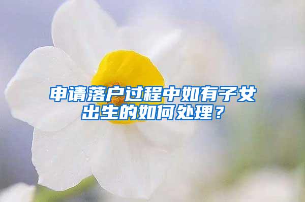 申请落户过程中如有子女出生的如何处理？