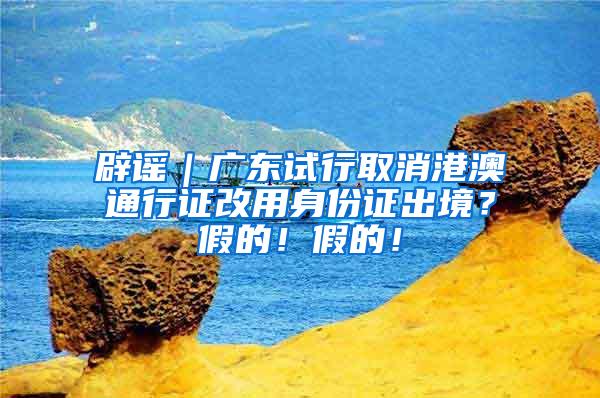 辟谣｜广东试行取消港澳通行证改用身份证出境？假的！假的！