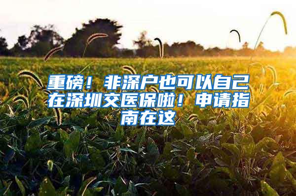 重磅！非深户也可以自己在深圳交医保啦！申请指南在这