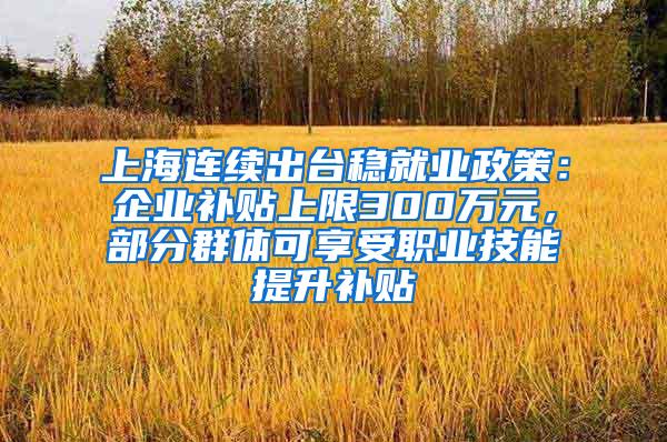 上海连续出台稳就业政策：企业补贴上限300万元，部分群体可享受职业技能提升补贴