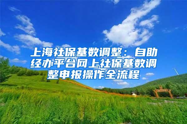 上海社保基数调整：自助经办平台网上社保基数调整申报操作全流程