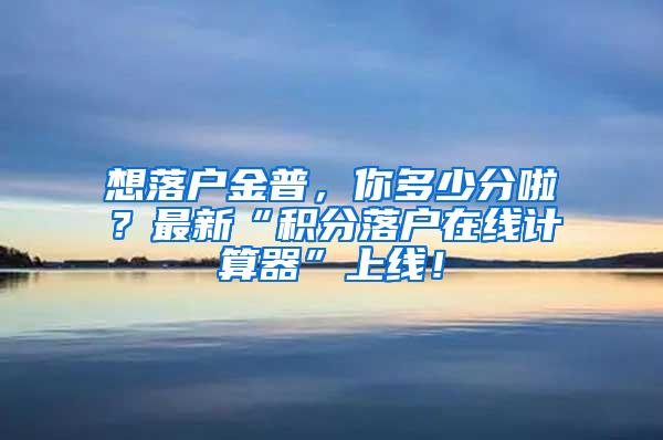 想落户金普，你多少分啦？最新“积分落户在线计算器”上线！