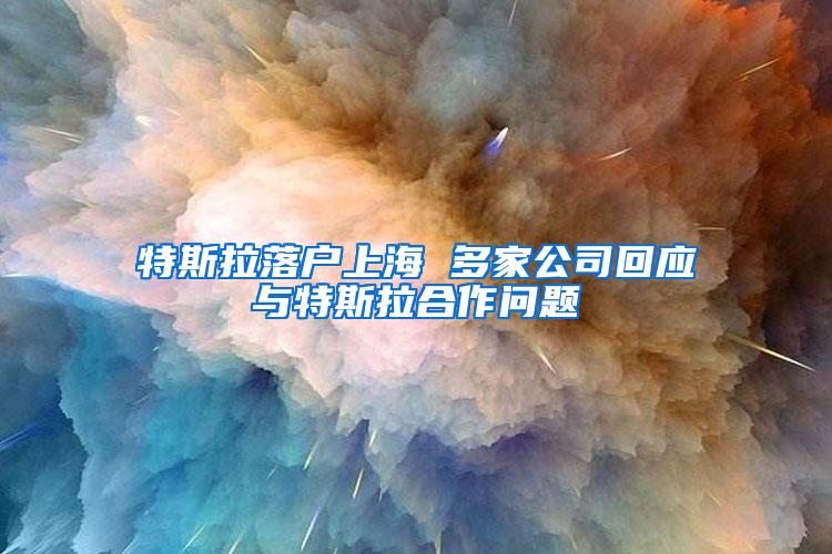 特斯拉落户上海 多家公司回应与特斯拉合作问题