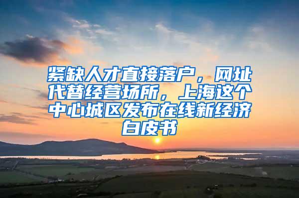 紧缺人才直接落户，网址代替经营场所，上海这个中心城区发布在线新经济白皮书