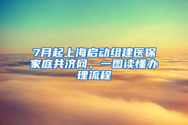 7月起上海启动组建医保家庭共济网，一图读懂办理流程