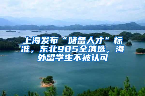 上海发布“储备人才”标准，东北985全落选，海外留学生不被认可