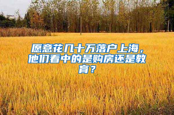 愿意花几十万落户上海，他们看中的是购房还是教育？