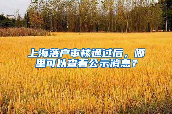 上海落户审核通过后，哪里可以查看公示消息？