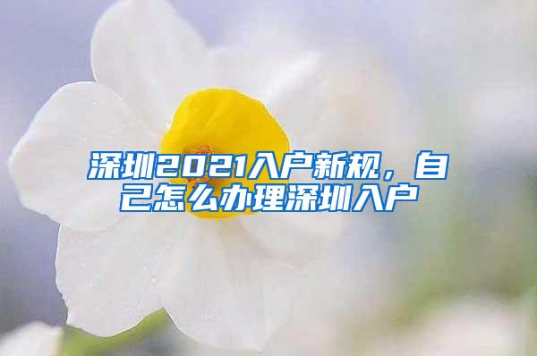 深圳2021入户新规，自己怎么办理深圳入户