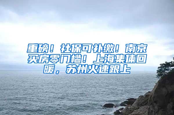 重磅！社保可补缴！南京买房零门槛！上海集体回暖，苏州火速跟上