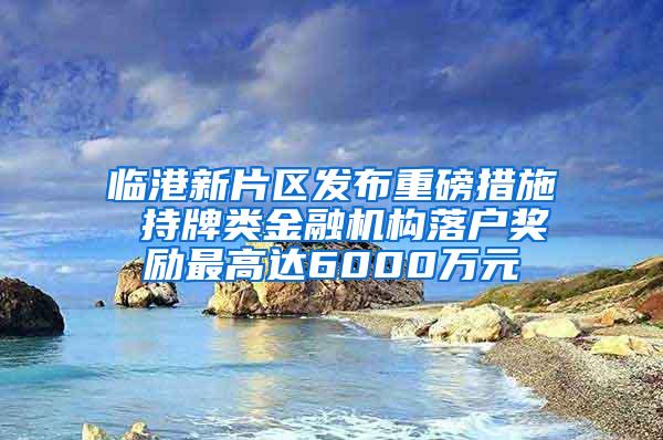 临港新片区发布重磅措施 持牌类金融机构落户奖励最高达6000万元