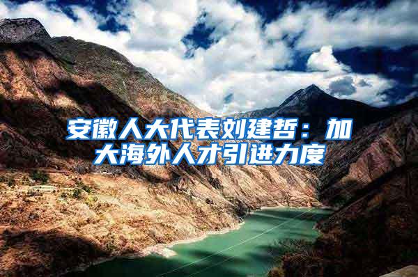 安徽人大代表刘建哲：加大海外人才引进力度