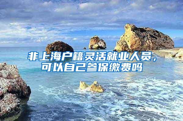 非上海户籍灵活就业人员，可以自己参保缴费吗