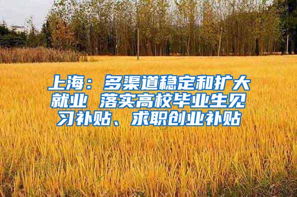 上海：多渠道稳定和扩大就业 落实高校毕业生见习补贴、求职创业补贴