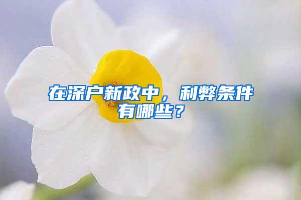 在深户新政中，利弊条件有哪些？