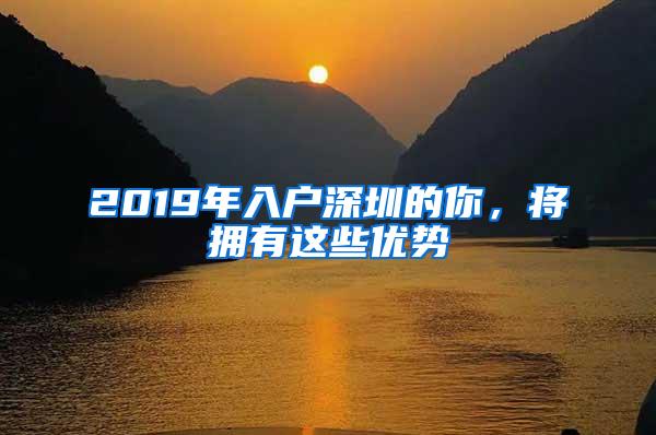 2019年入户深圳的你，将拥有这些优势