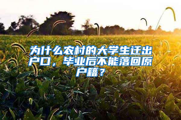 为什么农村的大学生迁出户口，毕业后不能落回原户籍？