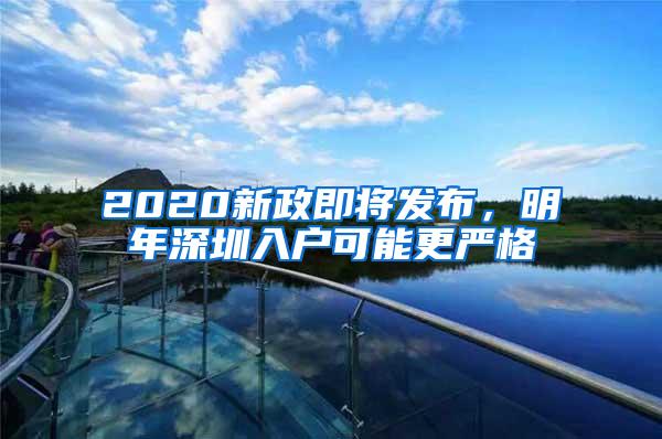 2020新政即将发布，明年深圳入户可能更严格