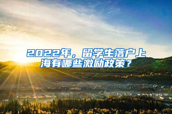 2022年，留学生落户上海有哪些激励政策？