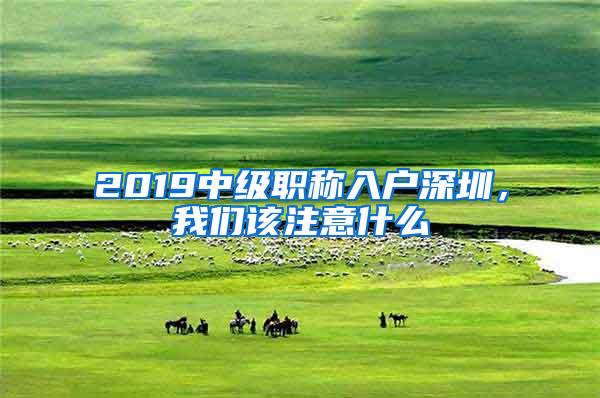 2019中级职称入户深圳，我们该注意什么