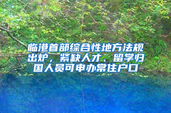 临港首部综合性地方法规出炉，紧缺人才、留学归国人员可申办常住户口