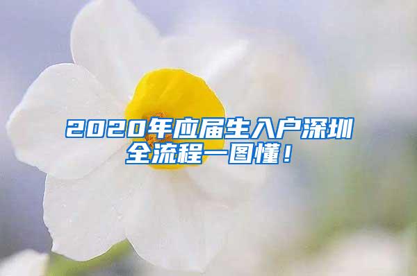 2020年应届生入户深圳全流程一图懂！