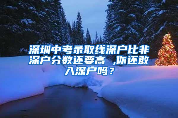 深圳中考录取线深户比非深户分数还要高 ,你还敢入深户吗？