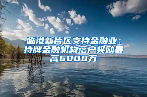 临港新片区支持金融业：持牌金融机构落户奖励最高6000万