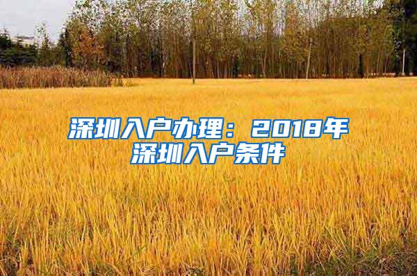 深圳入户办理：2018年深圳入户条件